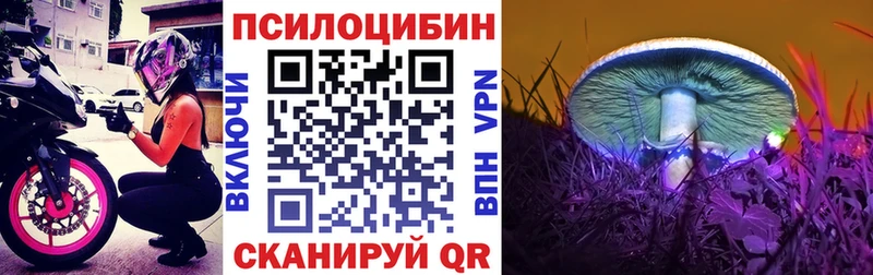 Псилоцибиновые грибы Magic Shrooms  наркотики  Козьмодемьянск 